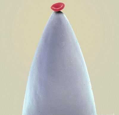 aiguille de seringue, avec à son extrémité, une seule et unique cellule correspondant à un globule rouge sanguin